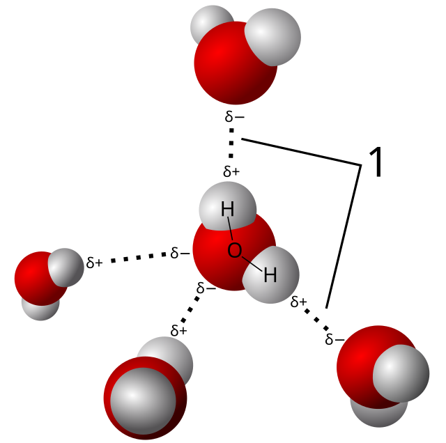 Hydrogen Bond Angle